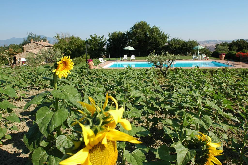 Agriturismo Poggio Porsenna - Con Piscina Villa Proceno Dış mekan fotoğraf