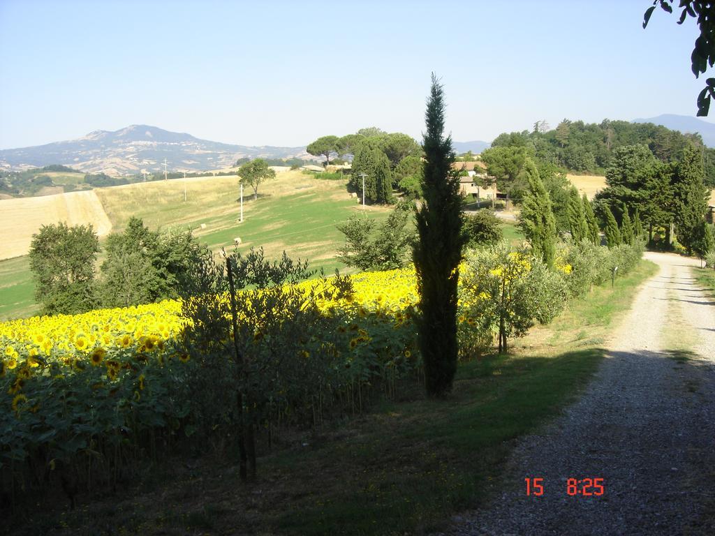 Agriturismo Poggio Porsenna - Con Piscina Villa Proceno Dış mekan fotoğraf