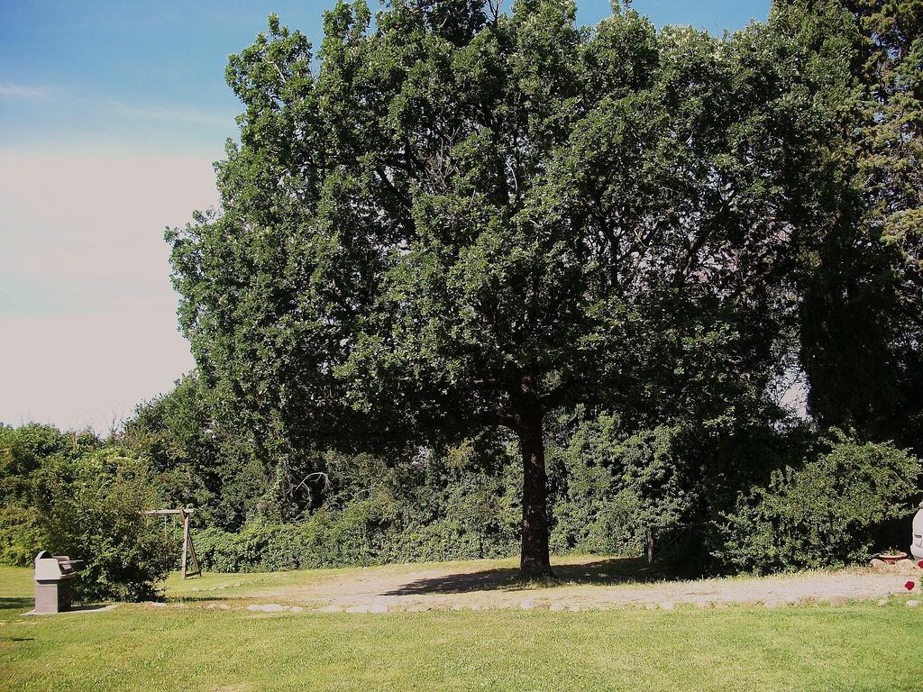 Agriturismo Poggio Porsenna - Con Piscina Villa Proceno Dış mekan fotoğraf